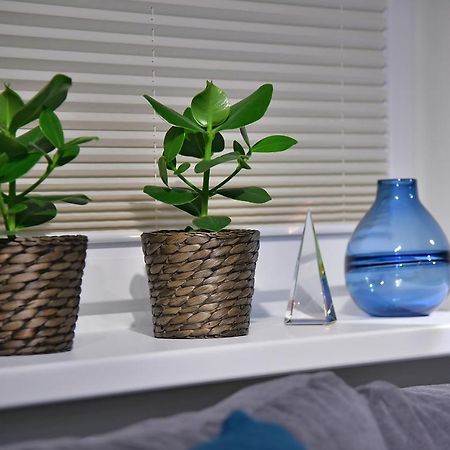 Apartamenty Sjesta River Kudowa-Zdrój Exteriör bild